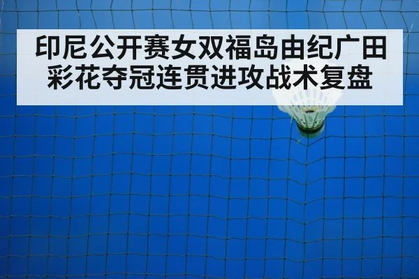 印尼公开赛女双福岛由纪广田彩花夺冠连贯进攻战术复盘