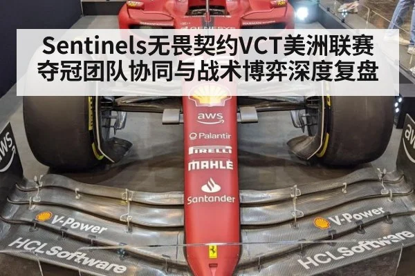 Sentinels无畏契约VCT美洲联赛夺冠团队协同与战术博弈深度复盘